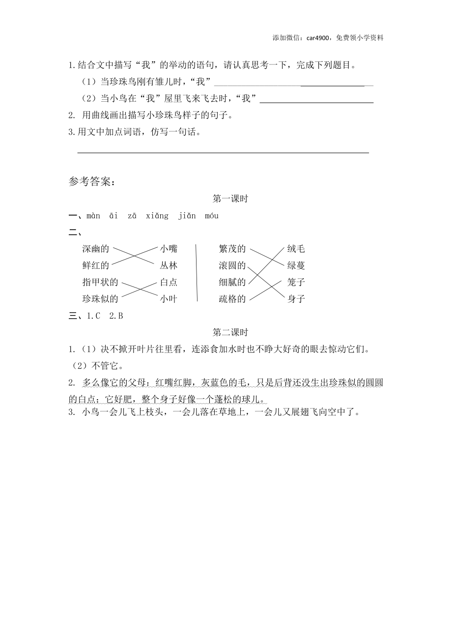 4 珍珠鸟.docx_第2页