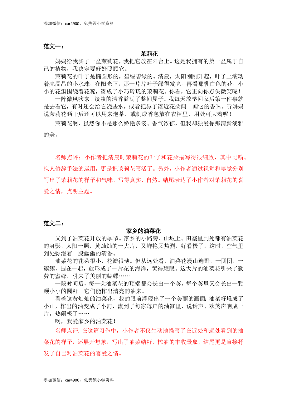 第一单元 我的植物朋友.docx_第1页