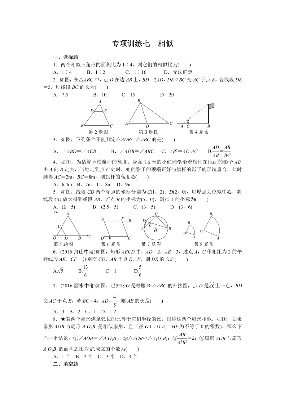 专项训练七　相似.doc_第1页