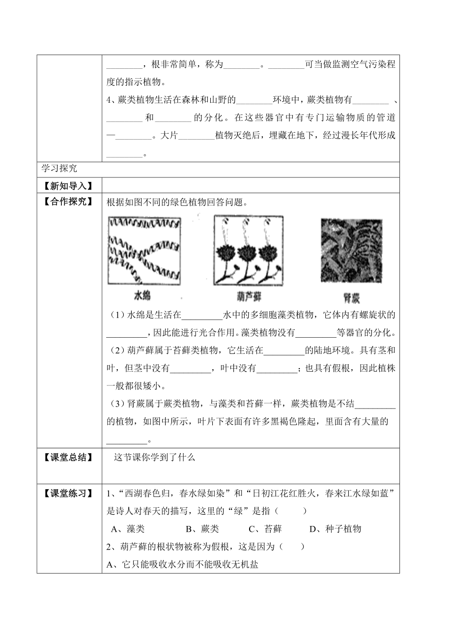 3.1.1 藻类、苔藓和蕨类植物（学案）-2022-2023学年七年级生物上册同步优质备课资源（人教版）.docx_第2页