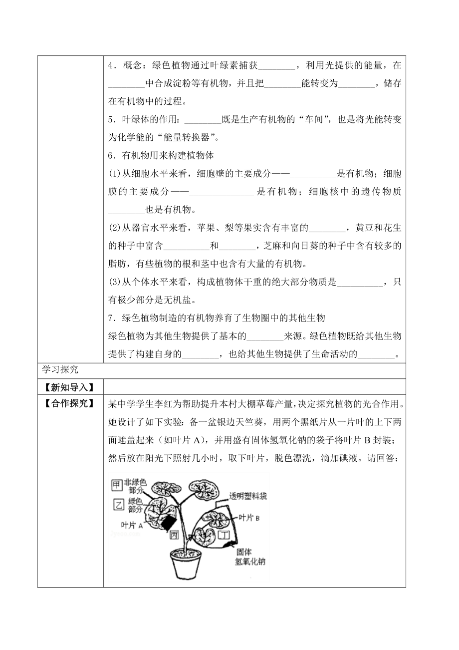 3.4 绿色植物是生物圈中有机物的制造者（学案）-2022-2023学年七年级生物上册同步优质备课资源（人教版）.docx_第2页