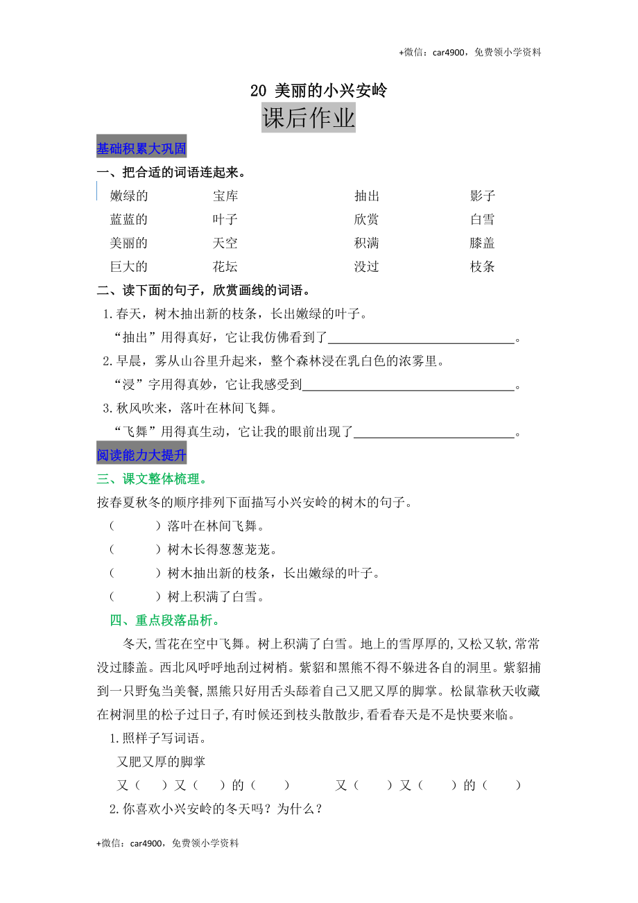 20 美丽的小兴安岭.docx_第1页