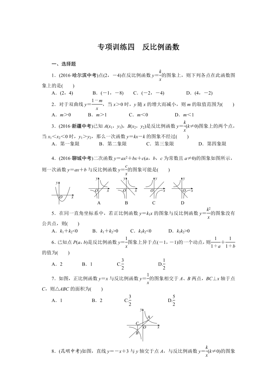 专项训练四　反比例函数.doc_第1页