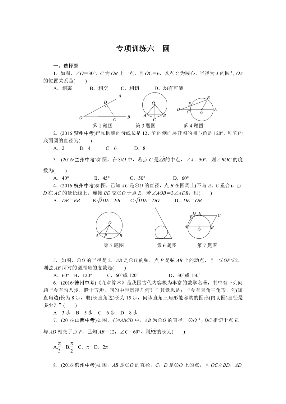 专项训练六　圆.doc_第1页