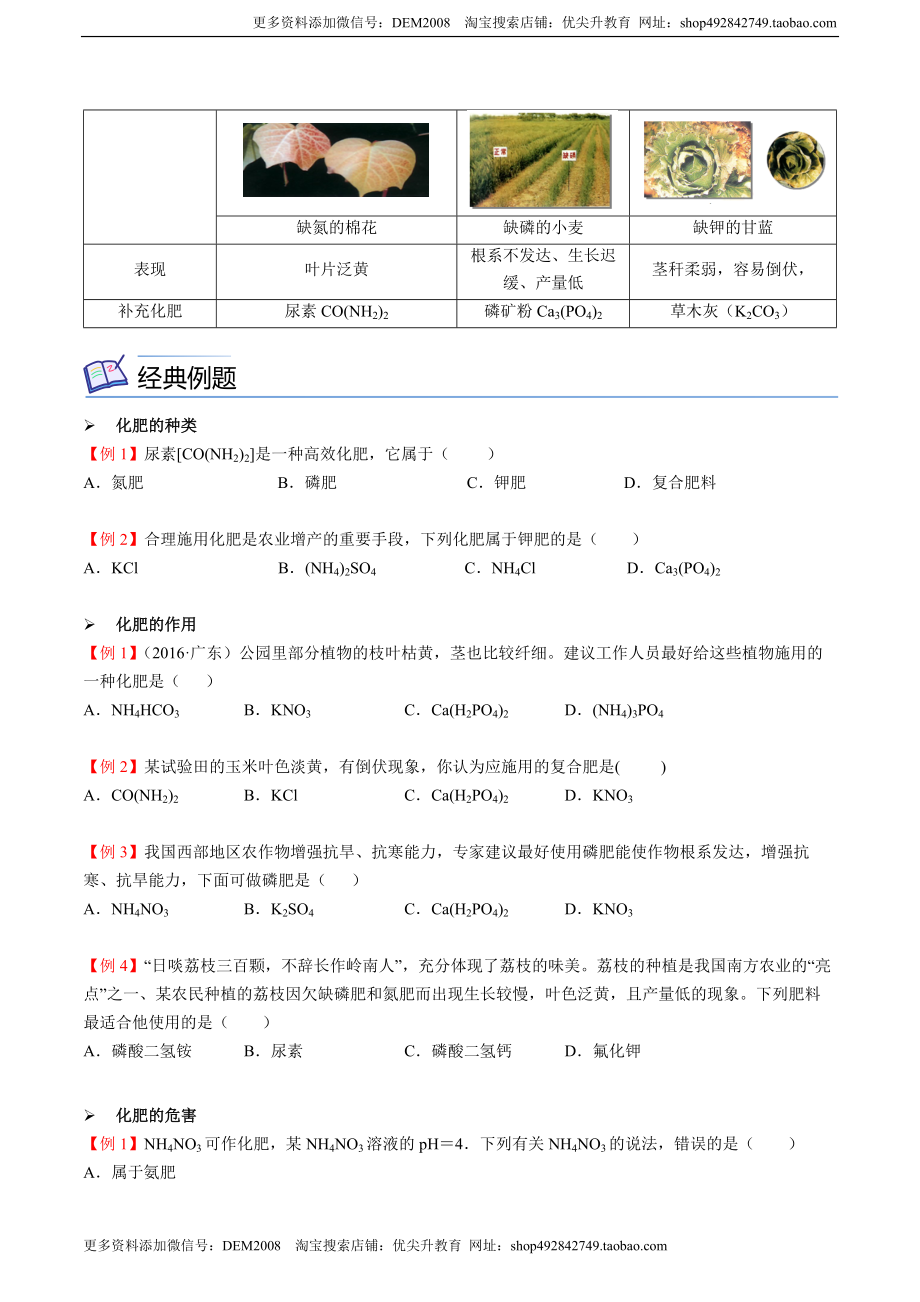 第12讲 化学肥料（原卷版）.docx_第2页