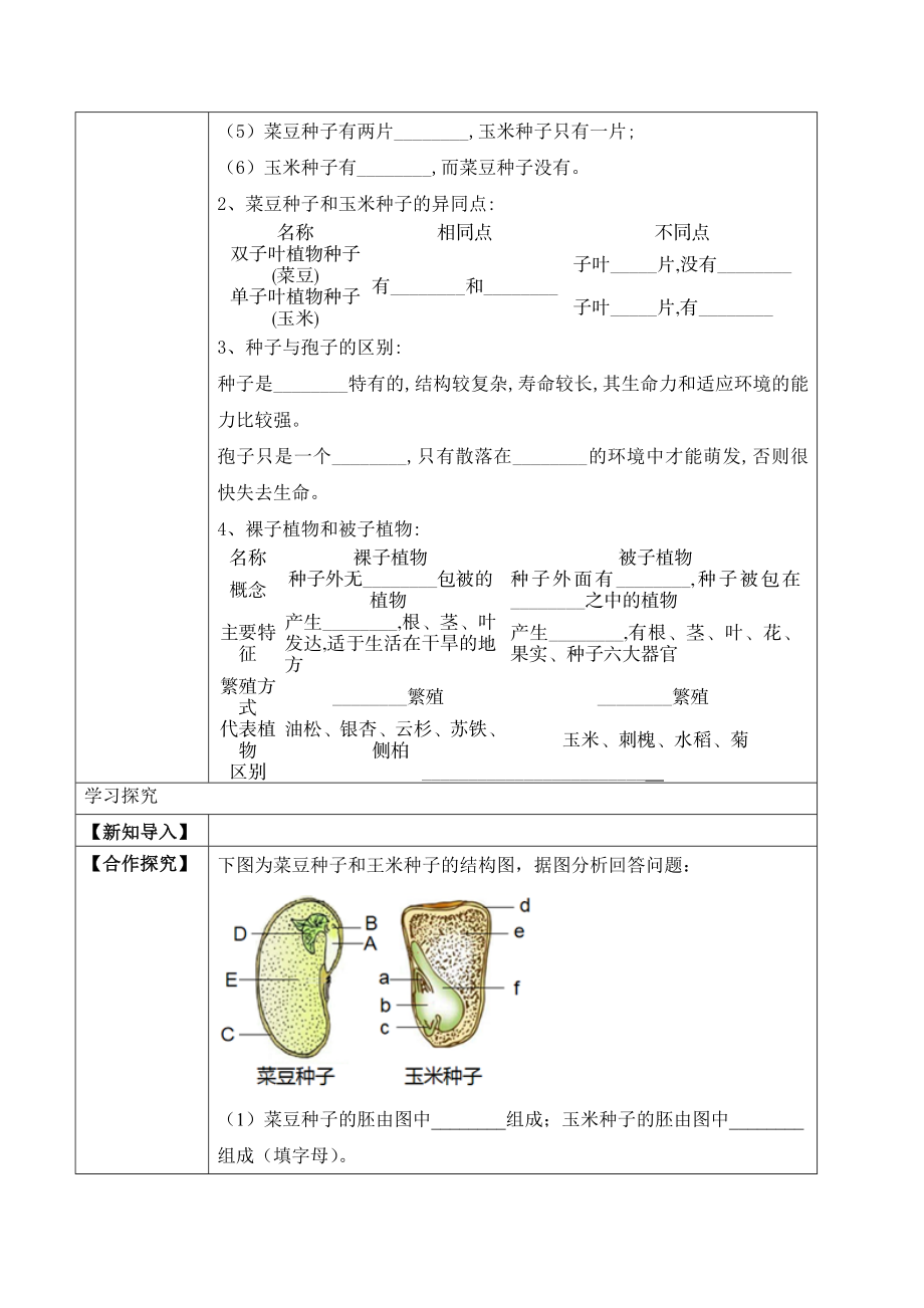 3.1.2 种子植物（学案）-2022-2023学年七年级生物上册同步优质备课资源（人教版）.docx_第2页