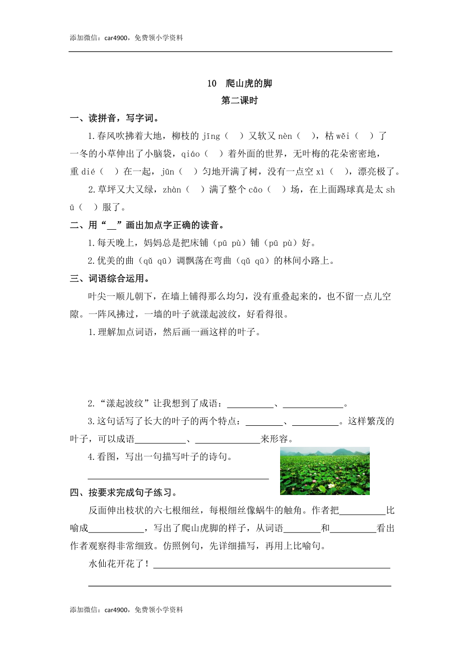 10 爬山虎的脚.doc_第3页