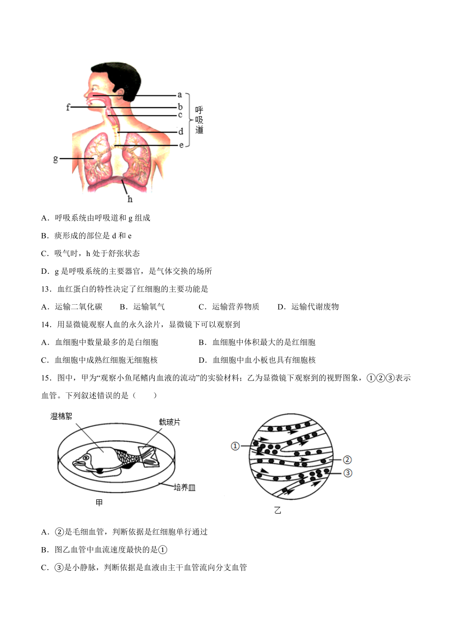 2020-2021学年七年级生物下学期期末仿真模拟冲刺卷（人教版）01（原卷版）.docx_第3页