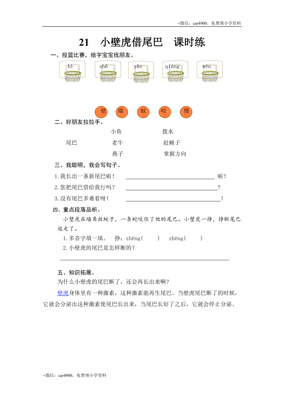 21 小壁虎借尾巴 .doc_第1页