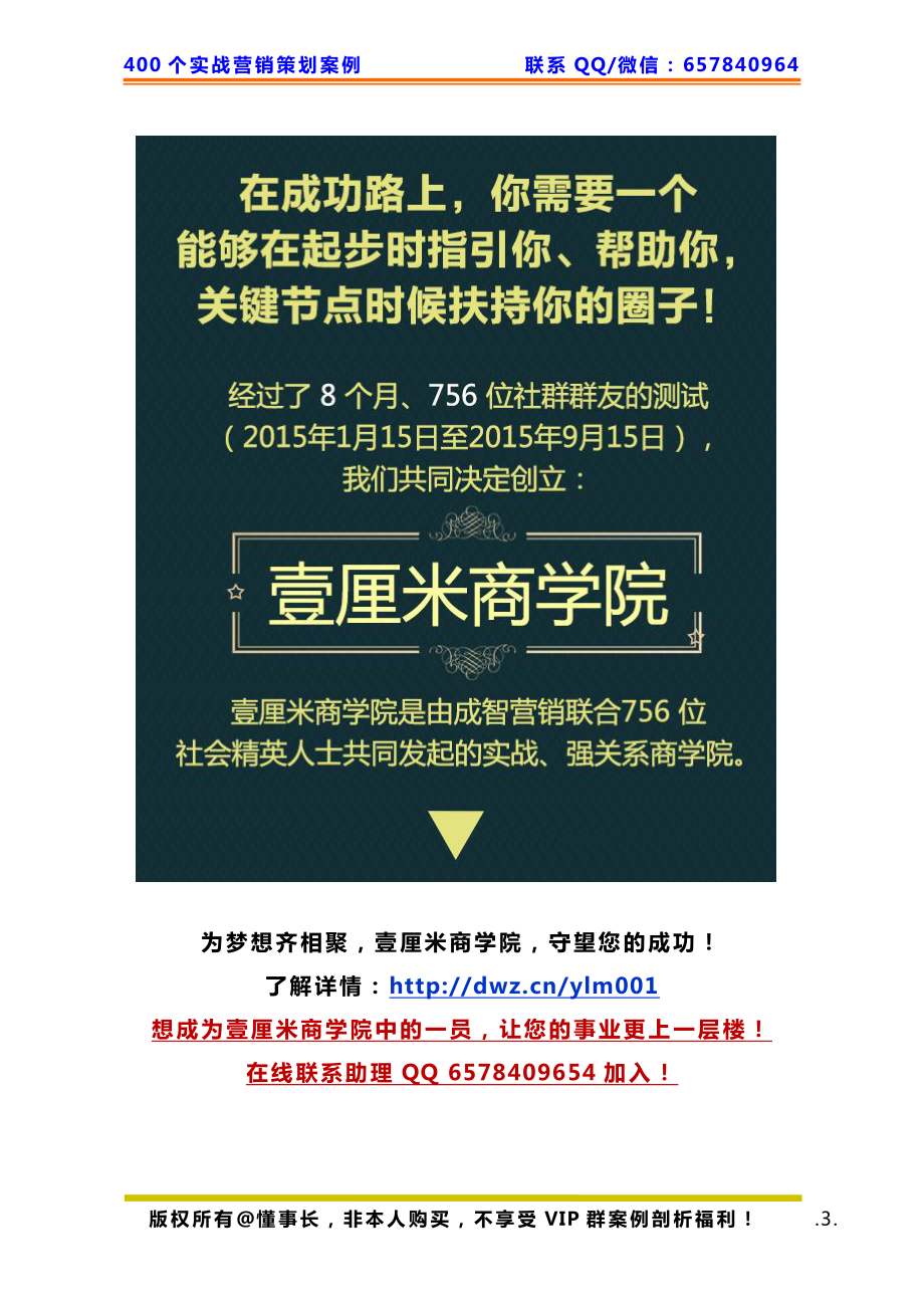 333、壹厘米商学院案例：农村电商对接政府项目解析.pdf_第3页