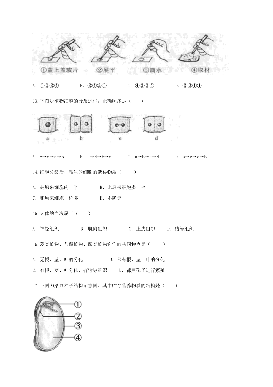 学易金卷：2020-2021学年七年级生物上学期期末测试卷01（人教版）（原卷版）.docx_第3页