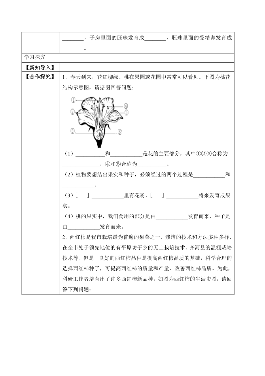 3.2.3 开花和结果（学案）-2022-2023学年七年级生物上册同步优质备课资源（人教版）.docx_第2页