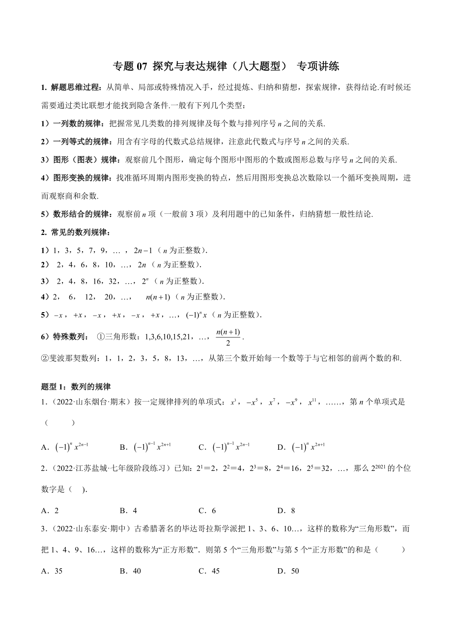 专题07 探究与表达规律（八大题型） 专项讲练（原卷版）.docx_第1页