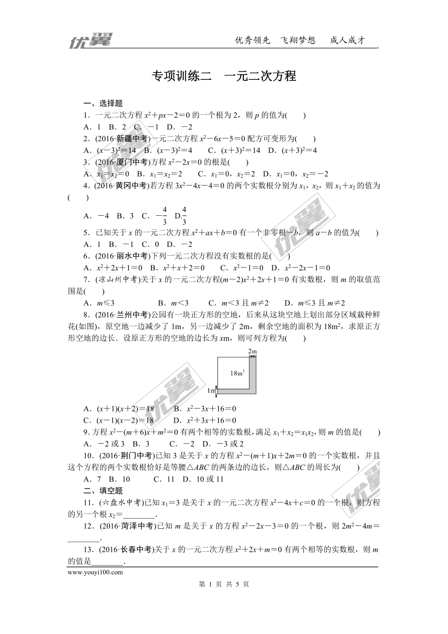 专项训练二　一元二次方程.doc_第1页