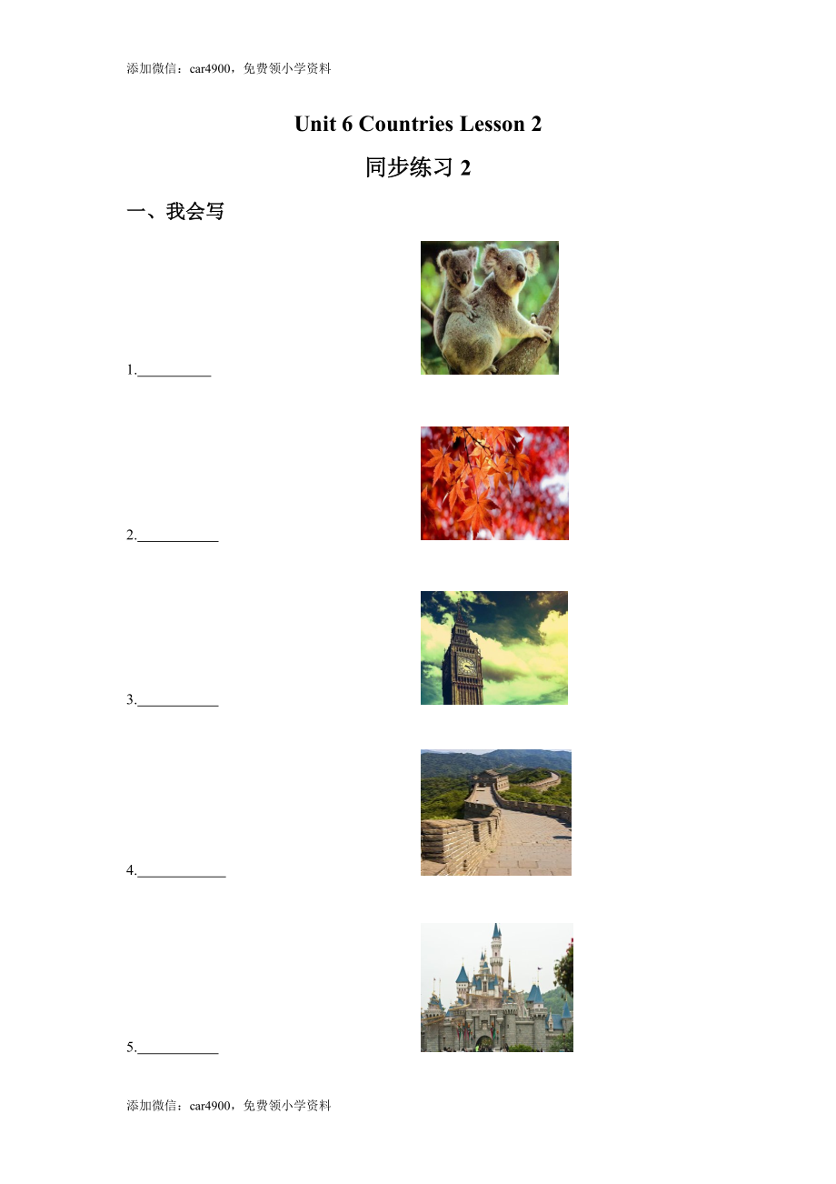 Unit 6 Countries Lesson 2 同步练习2.doc_第1页