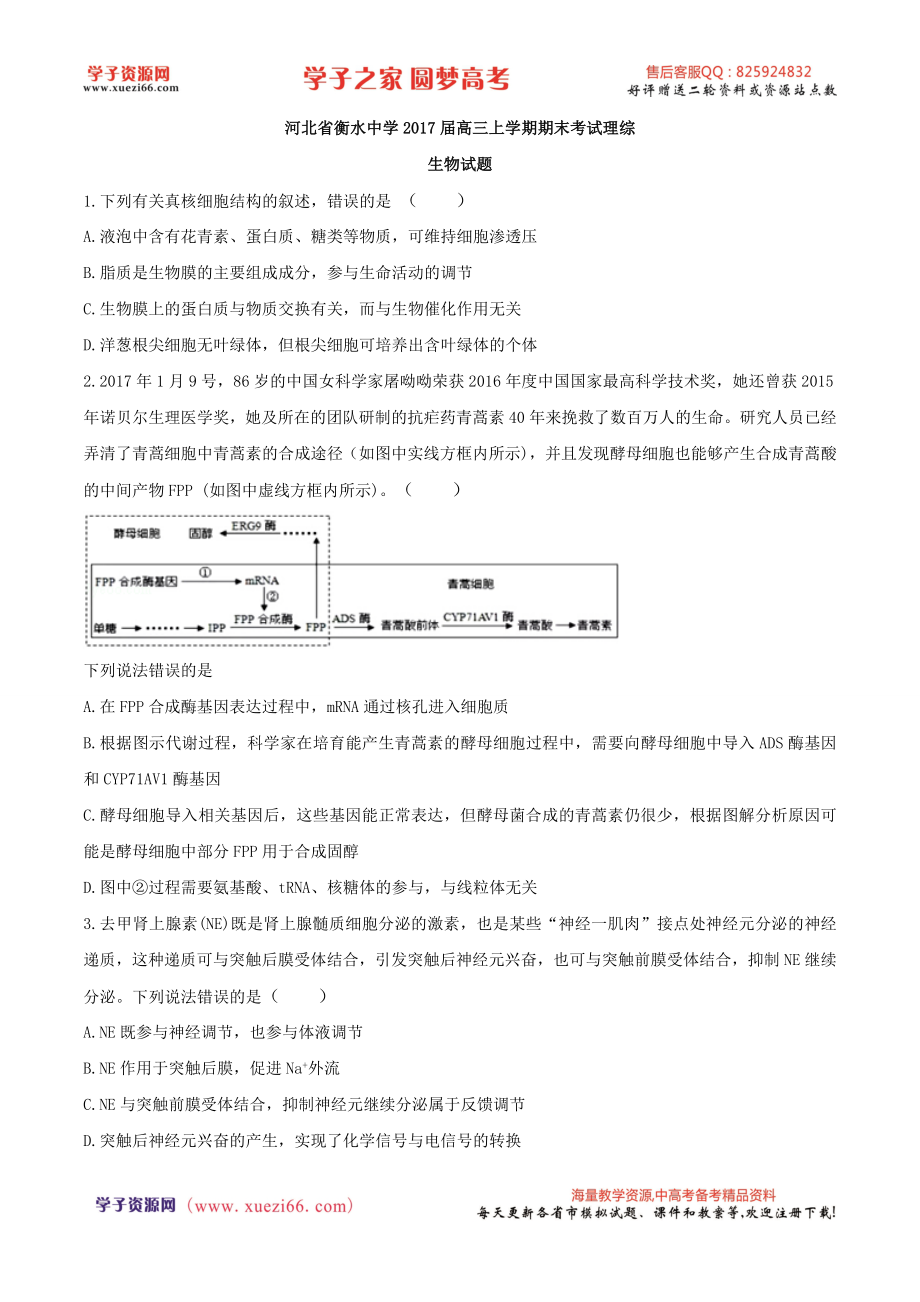 河北省衡水中学2017届高三上学期期末考试理综生物试题（解析版）.doc_第1页