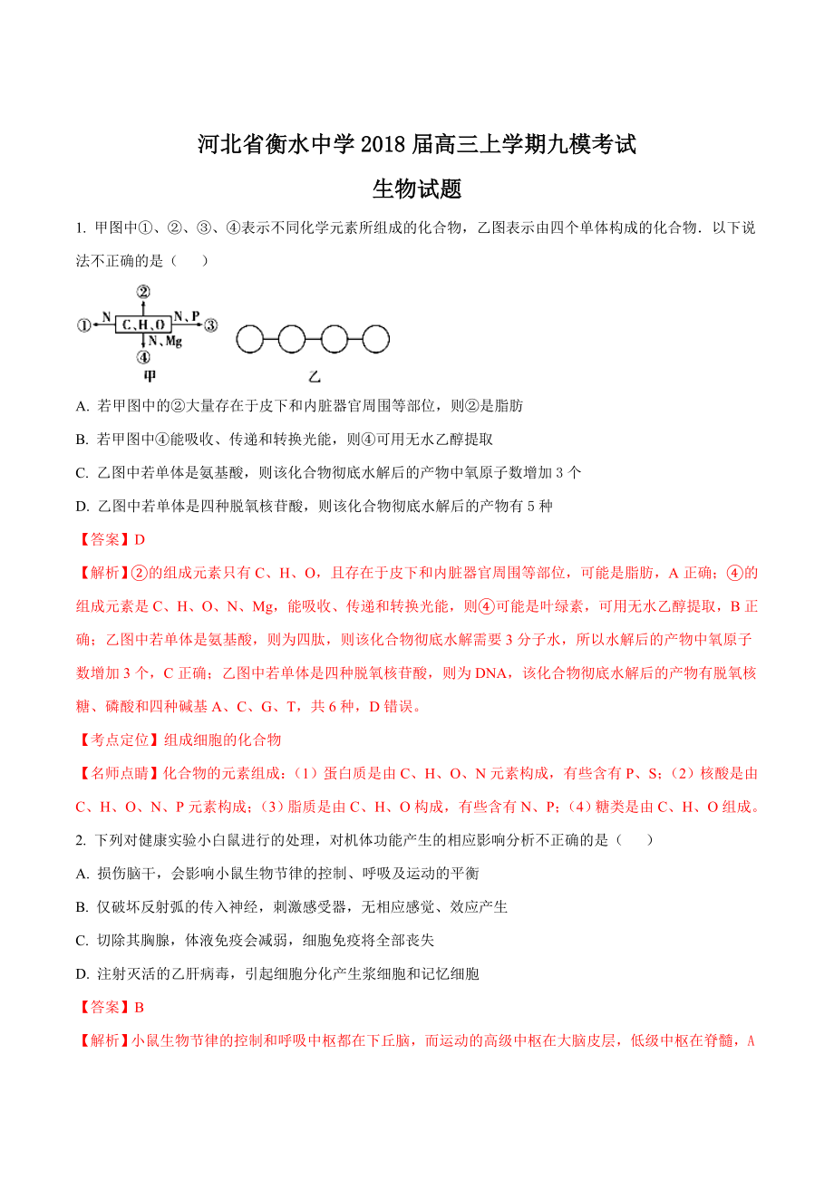 精品解析：河北省衡水中学2018届高三上学期第九次模拟考试生物试题（解析版）.doc_第1页