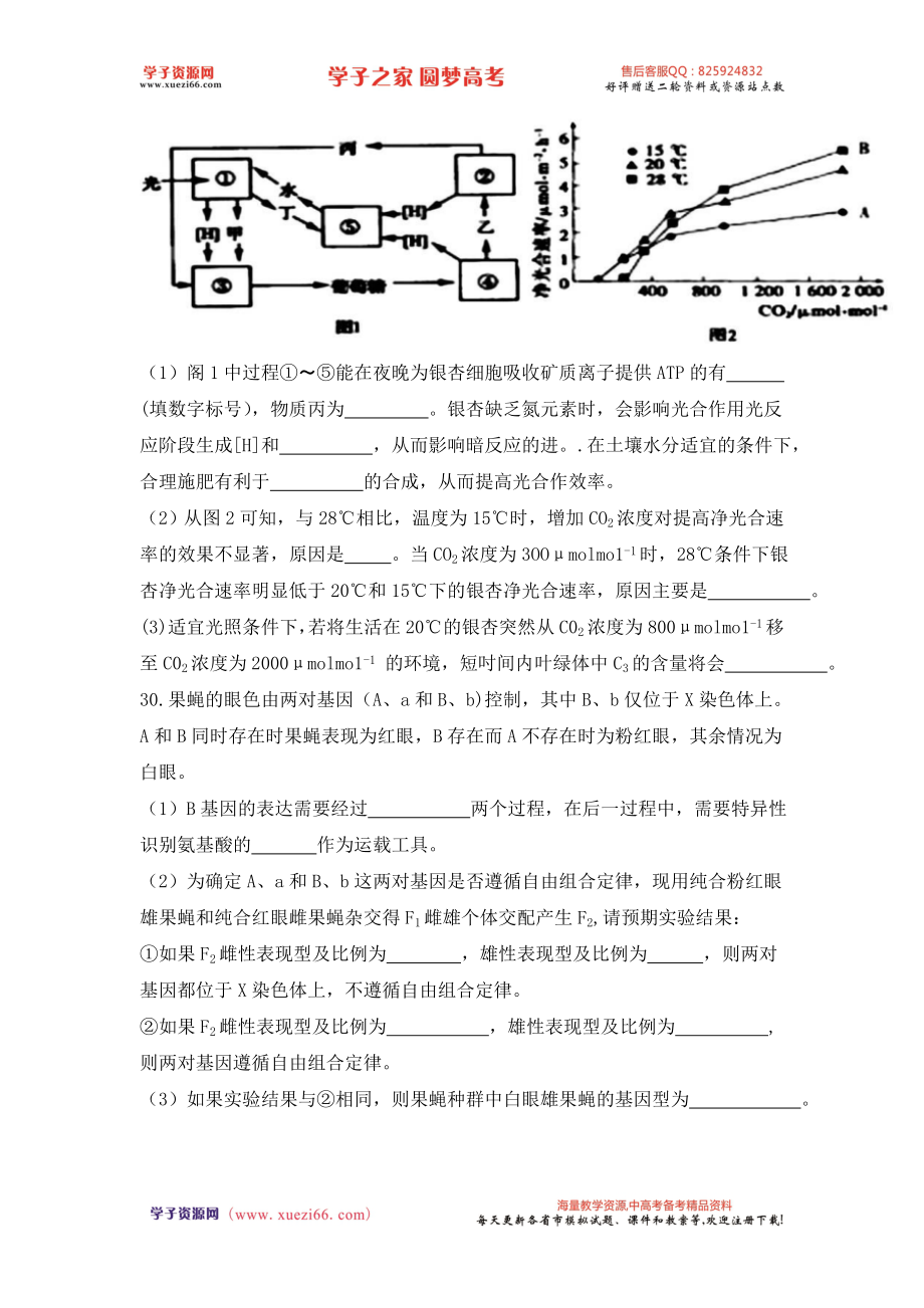 河北省衡水中学2017届高三上学期第20周周测理综生物试题（解析版）.doc_第3页