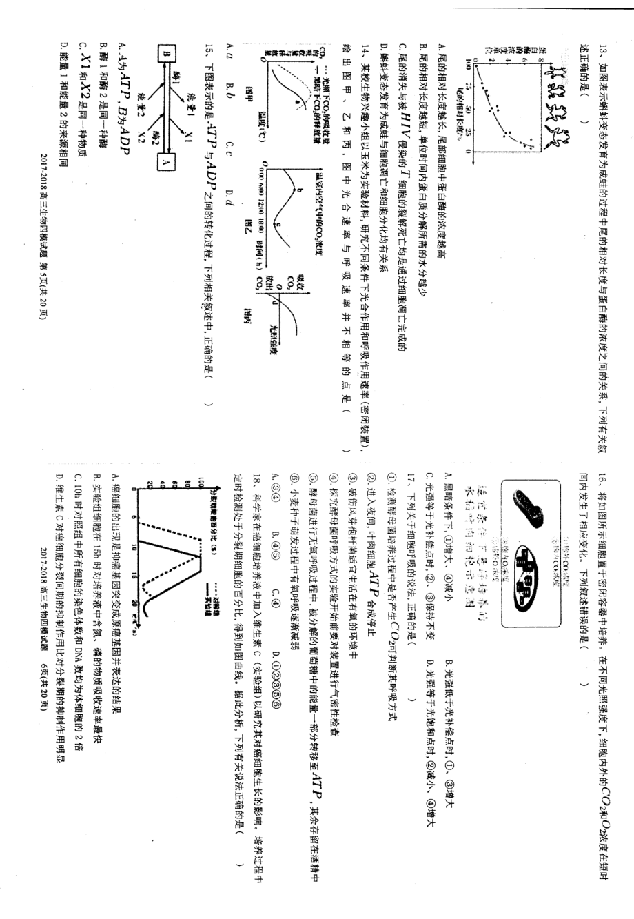 2017-2018上学期衡水中学高三四模考试生物PDF.pdf_第3页