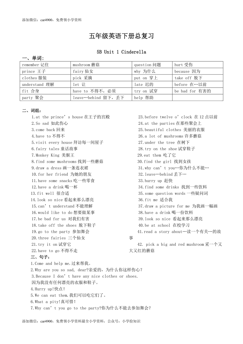 新译林小学英语5B五年级下册-全册知识点整理 13页 .doc_第1页