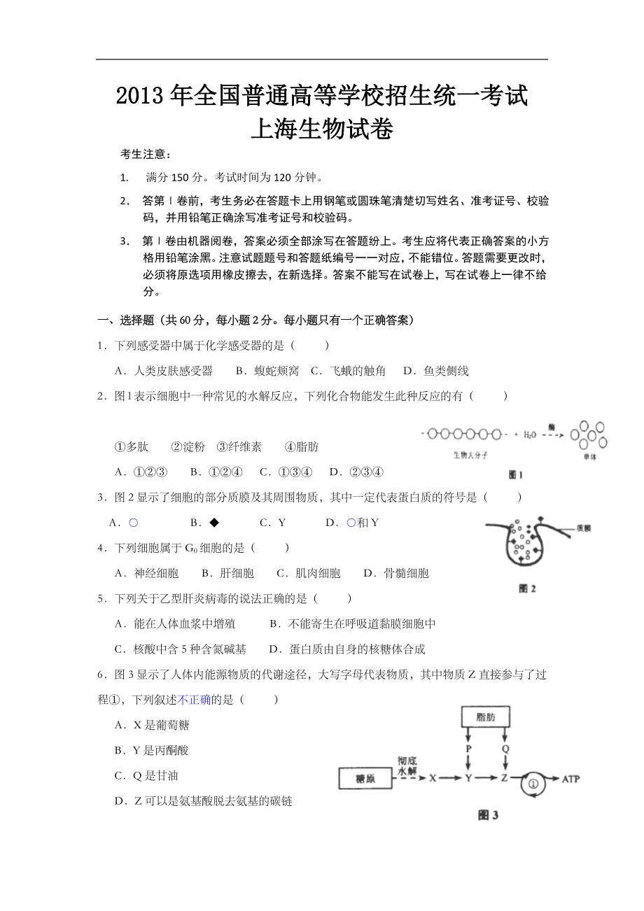 2013年上海市高中毕业统一学业考试生物试卷及答案.doc_第1页