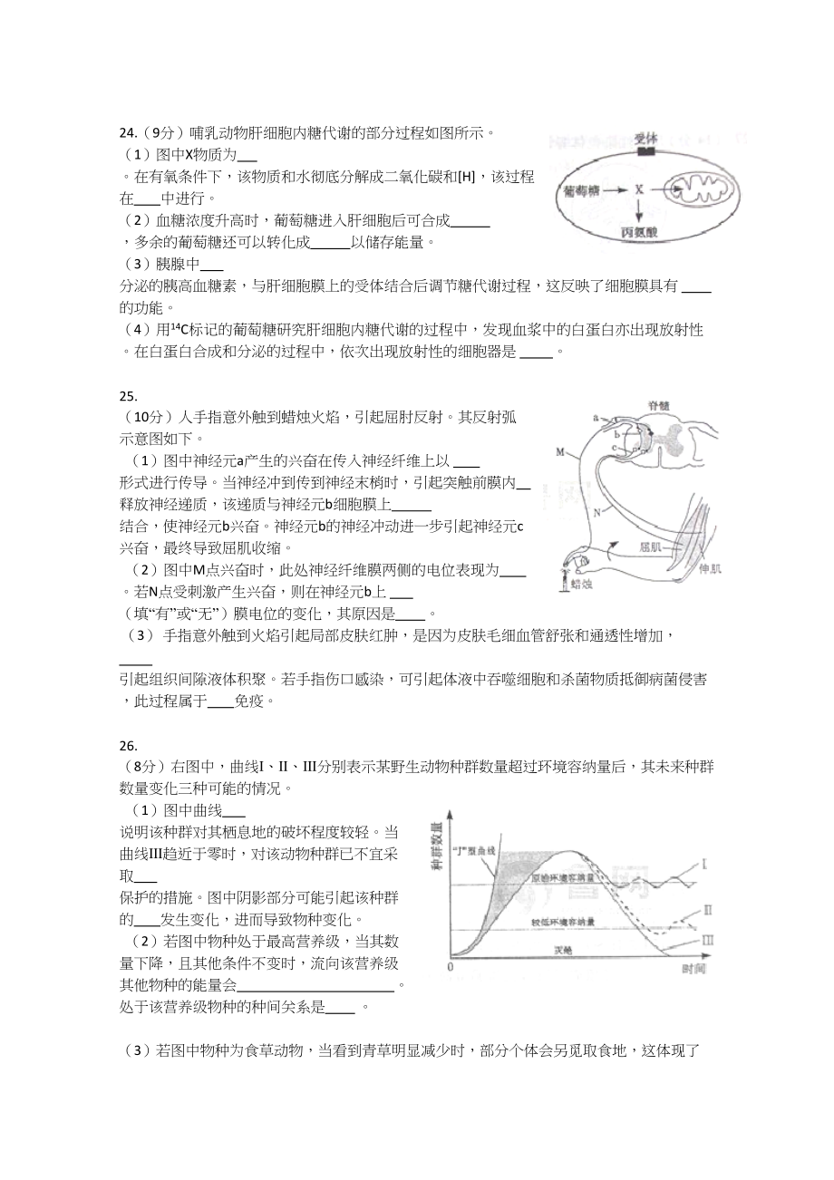 2012年高考生物真题（山东自主命题）（原卷版）.doc_第2页