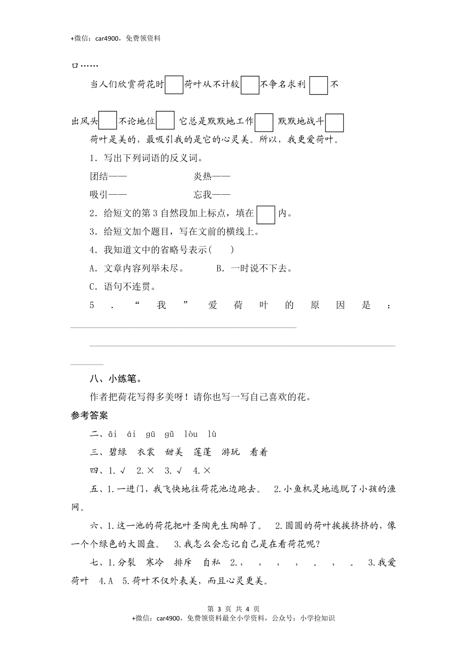 三年级下语文课时测试-3 荷花-人教版 .doc_第3页