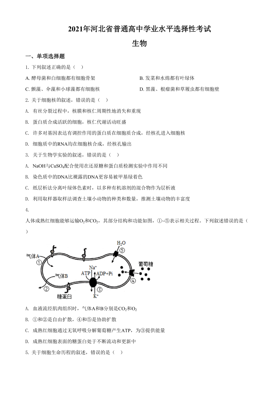 2021年高考生物真题（河北自主命题）（原卷版）.doc_第1页