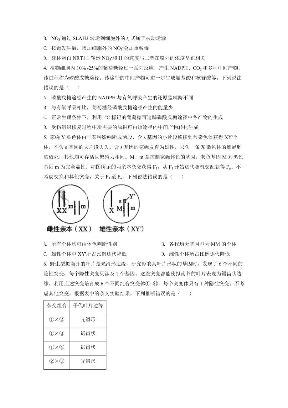 2022年山东省学业水平选择性考试生物试题（原卷版）.docx_第2页