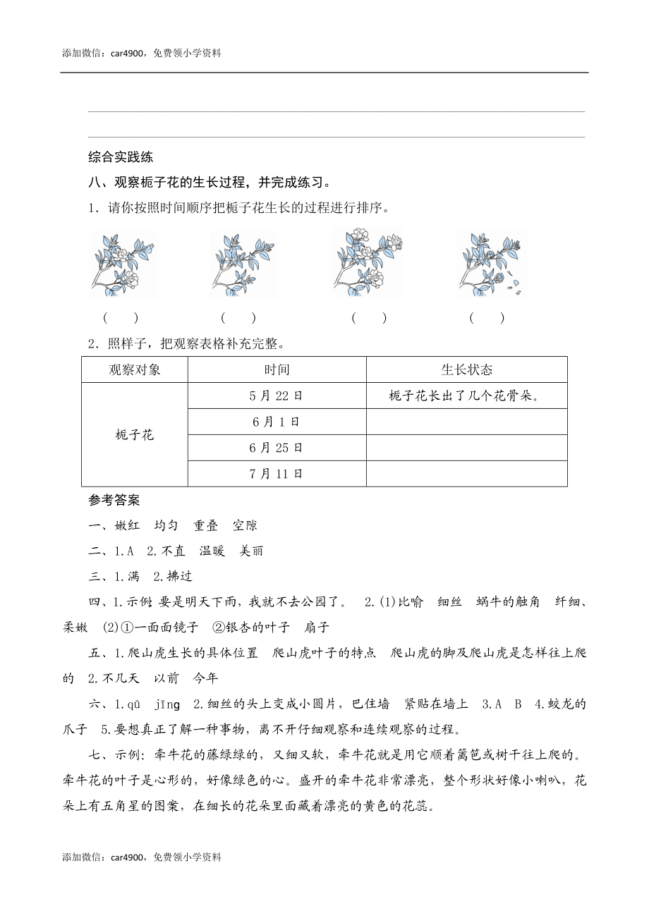 10《爬山虎的脚》课时测评.docx_第3页