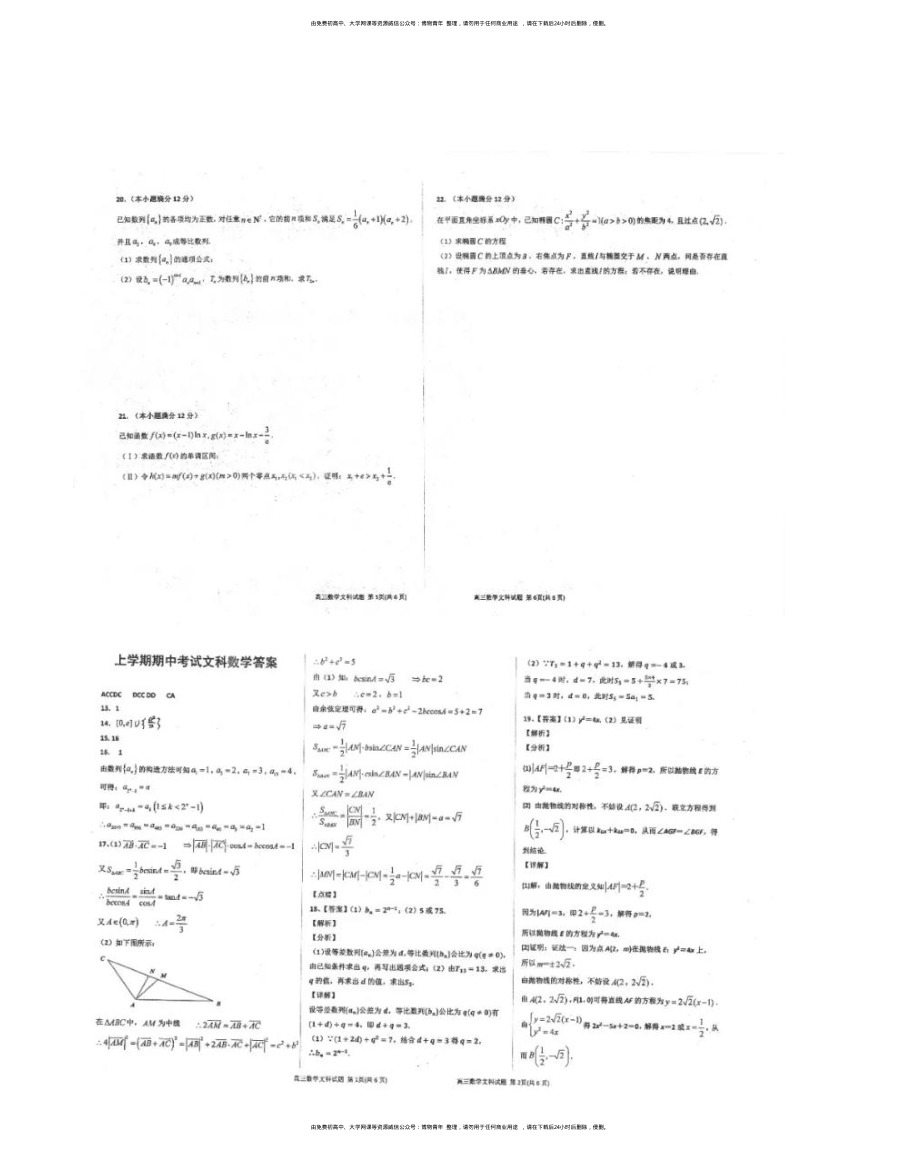 2020衡中高三期中考试文数.pdf_第2页