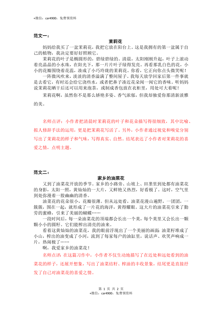 第一单元 我的植物朋友 .docx_第1页