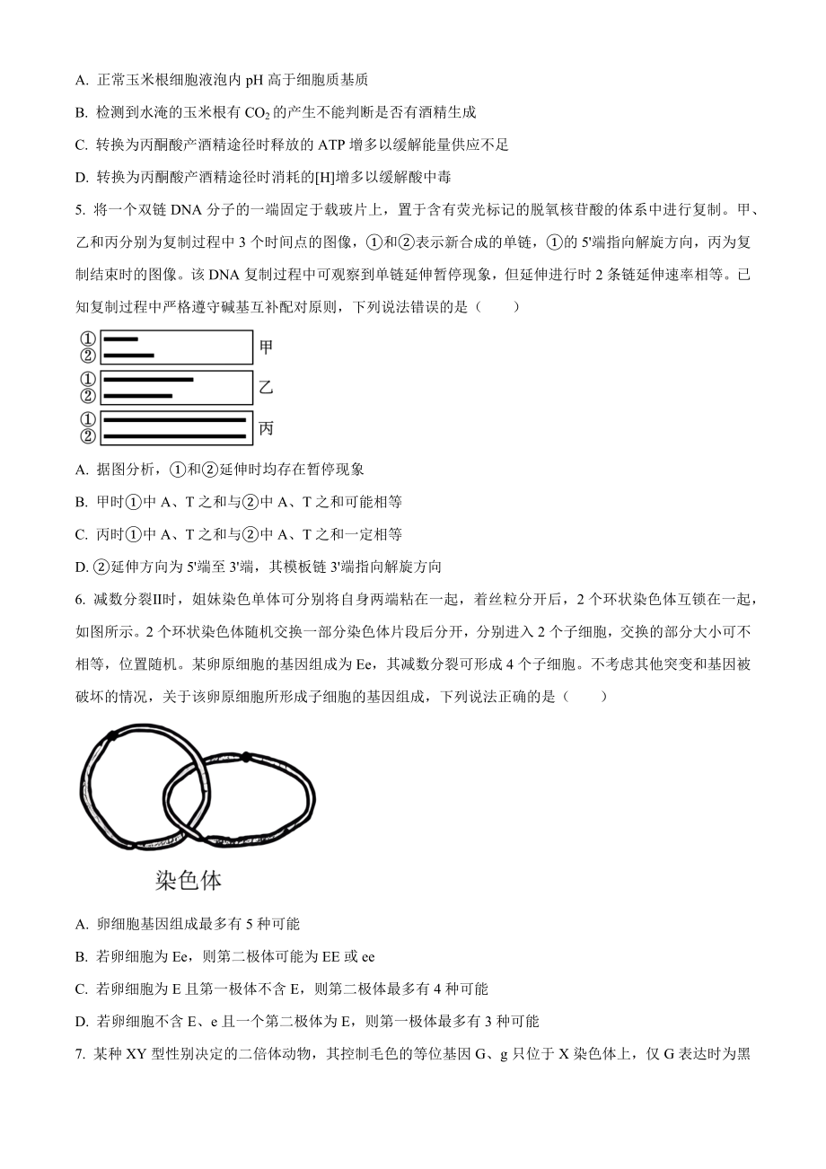 2023年高考生物真题（山东自主命题）（原卷版）.docx_第2页