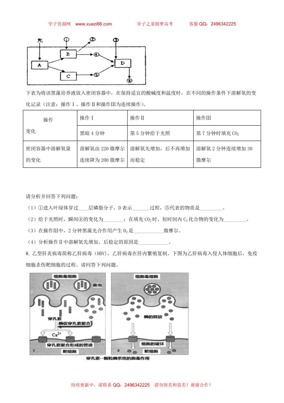 【全国百强校】河北省衡水中学2018届高三考前自主复习作业箭在弦上（五）理科综合生物试题（原卷版）.doc_第3页