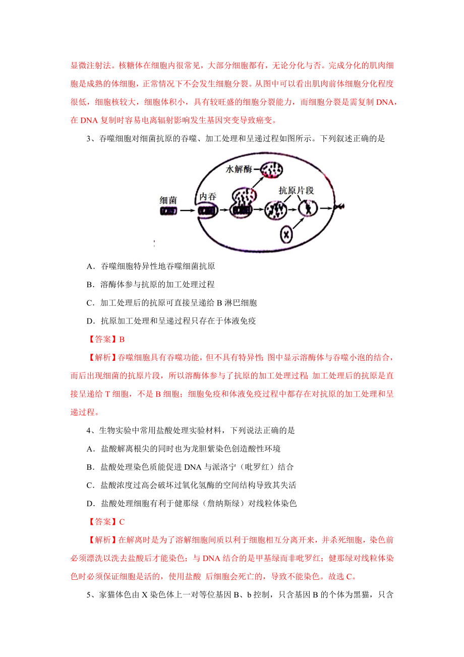 2013年高考生物真题（山东自主命题）（解析版）.docx_第2页