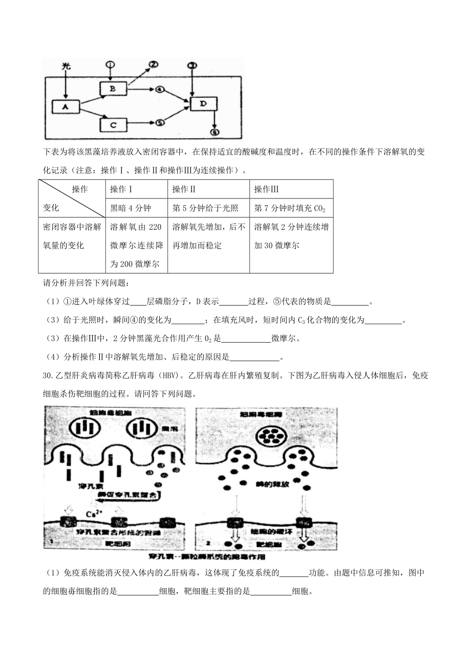 【全国百强校word】河北省衡水中学2018届高三考前自主复习作业箭在弦上（五）理科综合生物试卷.doc_第3页