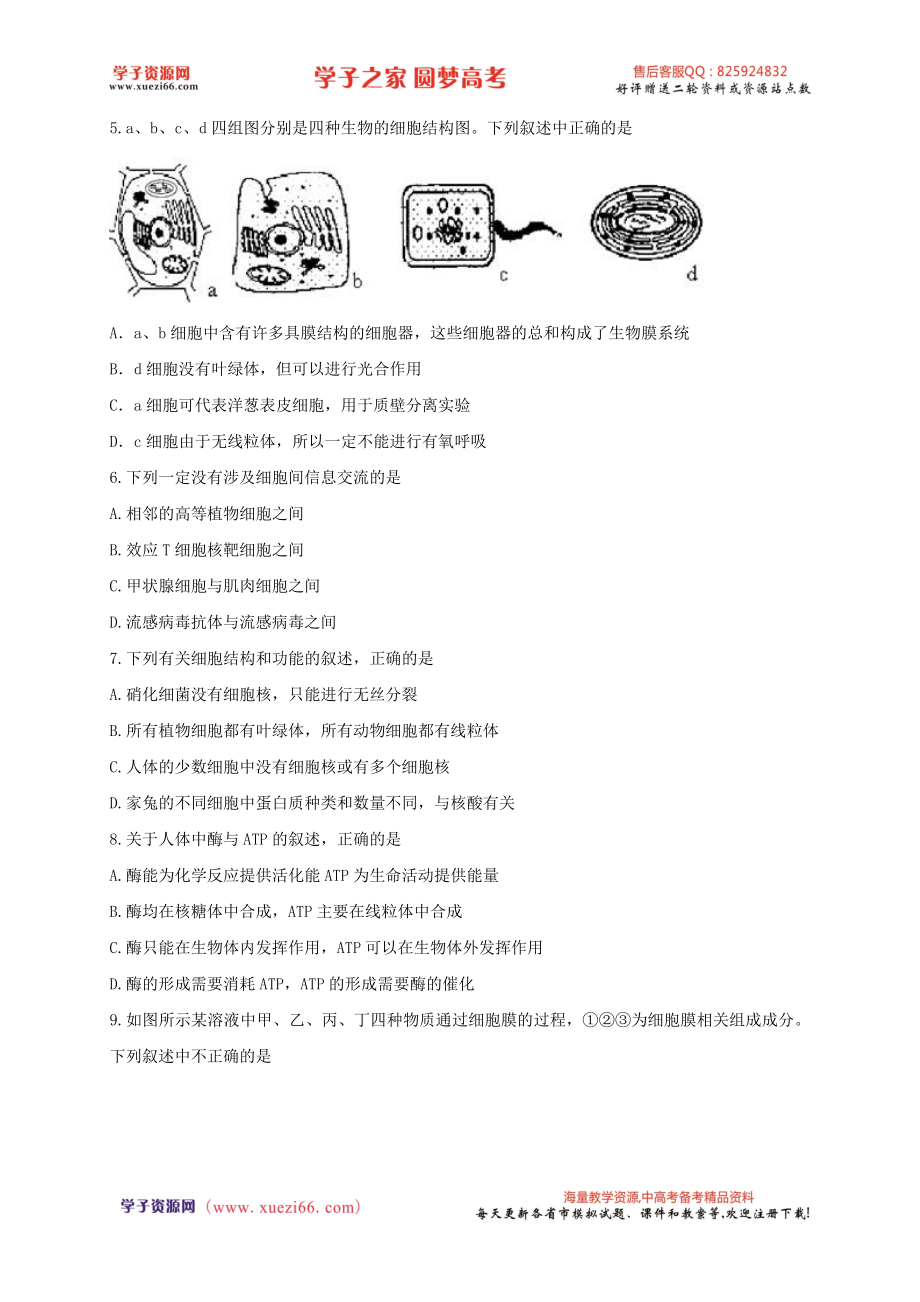 【全国百强校】河北省衡水中学2017届高三摸底联考（全国卷）生物试题.doc_第2页