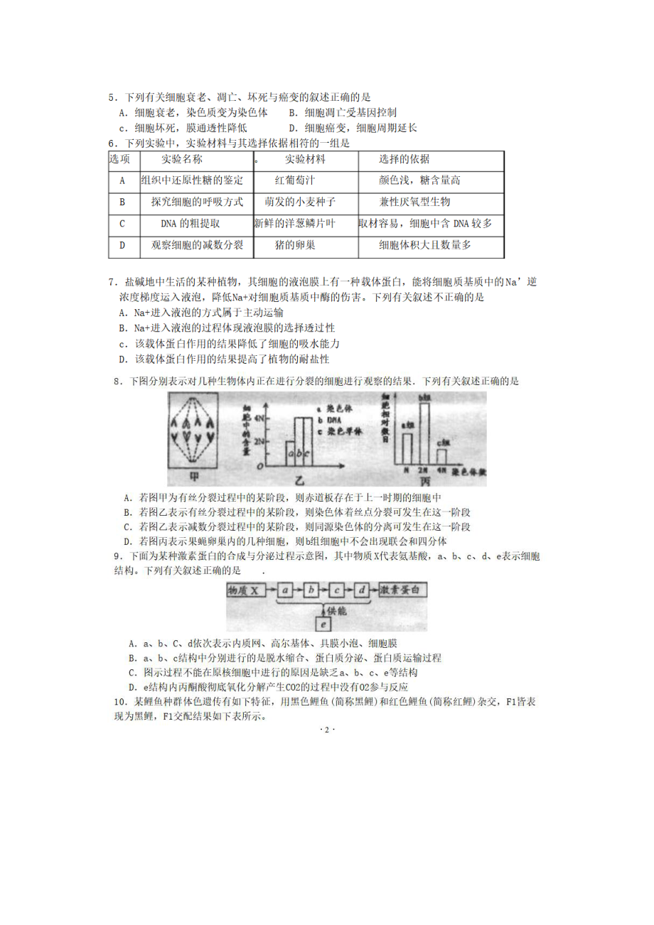 江苏盐城、南京2019高三一模生物试卷及答案.pdf_第2页