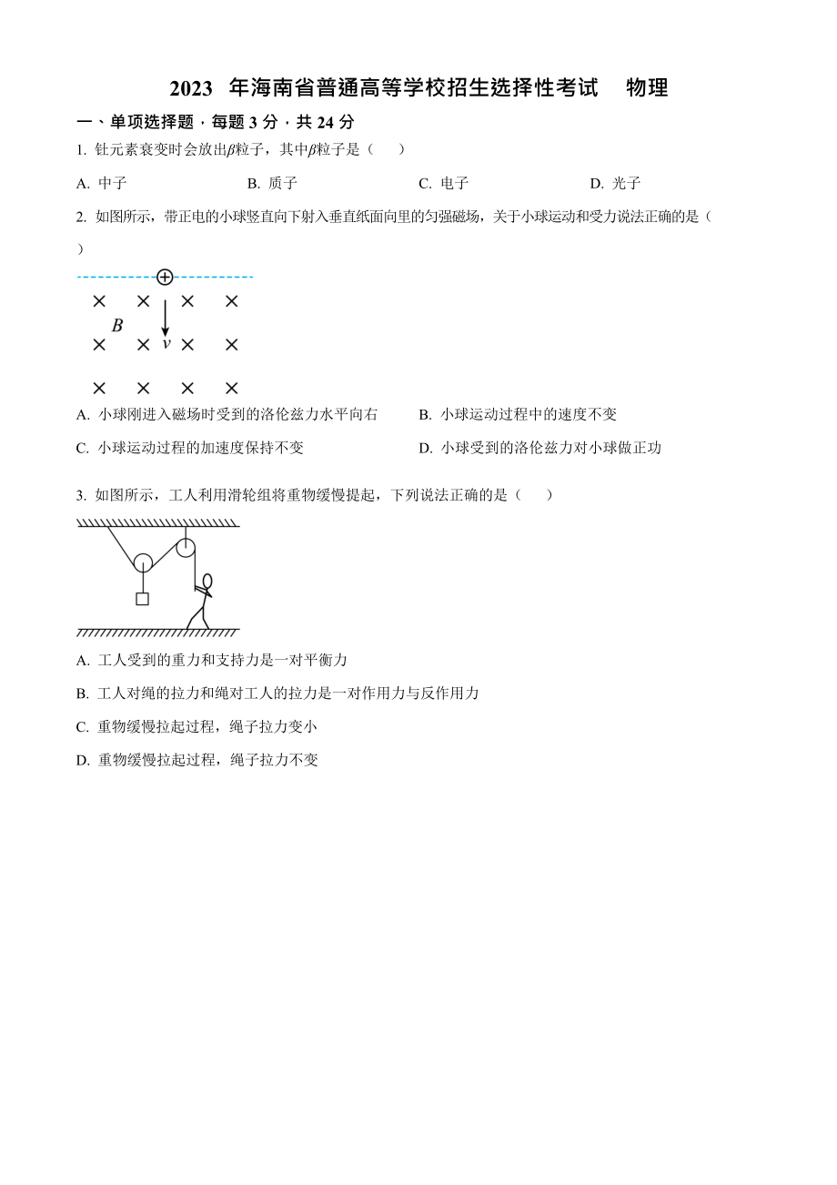 2023年高考物理真题（海南自主命题）（原卷版）.docx_第1页