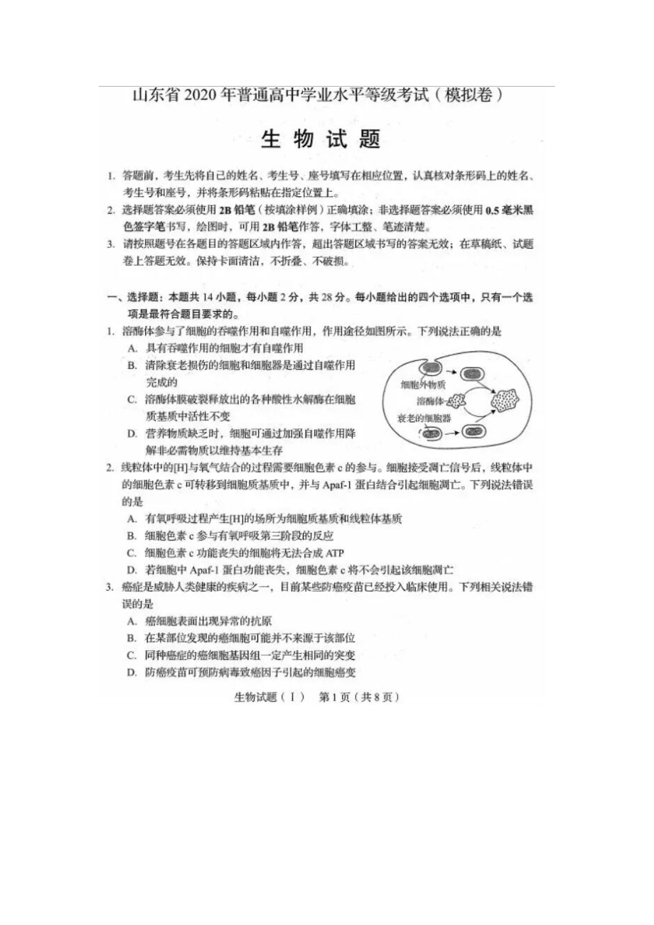 2020山东普通高中学业水平等级考试（模拟卷）生物试题.docx_第1页