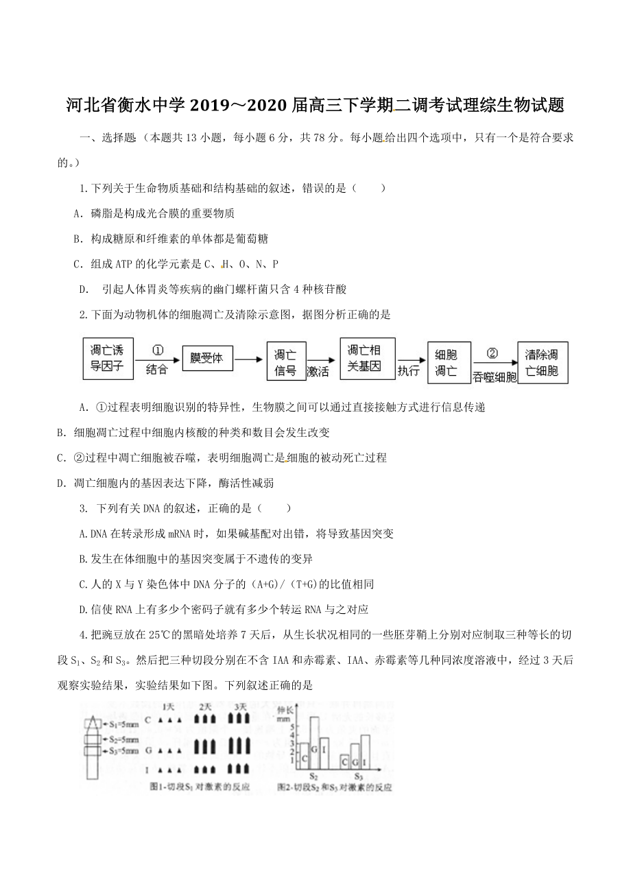 精品解析：【全国百强校首发】河北省衡水中学2020届高三下学期第二次调研考试理综生物试题解析（原卷版）.doc_第1页