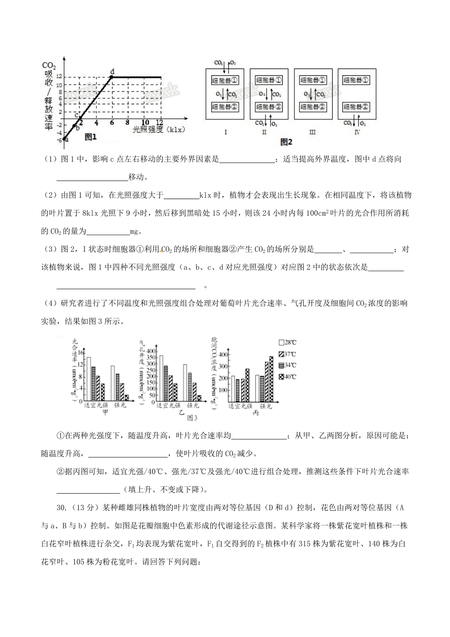 精品解析：【全国百强校首发】河北省衡水中学2020届高三下学期第二次调研考试理综生物试题解析（原卷版）.doc_第3页