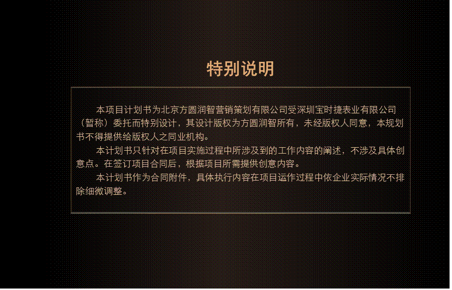 宝时捷手表项目工作计划书.pptx_第2页