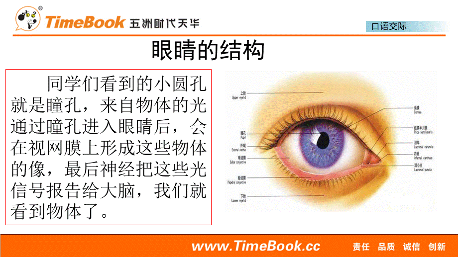 口语交际：爱护眼睛保护视力(1).pptx_第3页