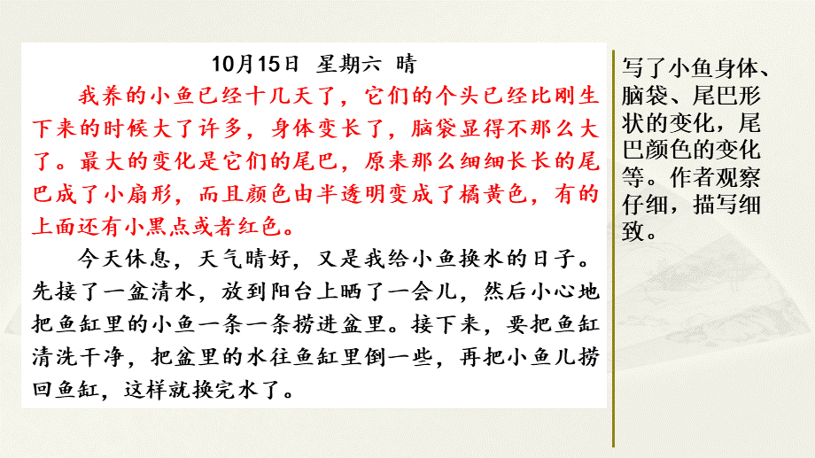 范文1：小鱼成长观察日记.pptx_第2页