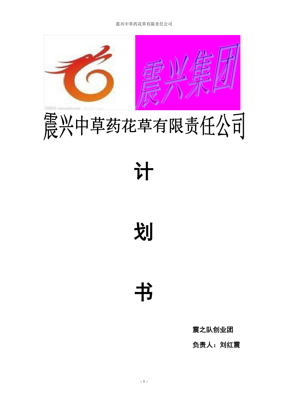 震兴中草药花草有限责任公司计划书.doc_第1页