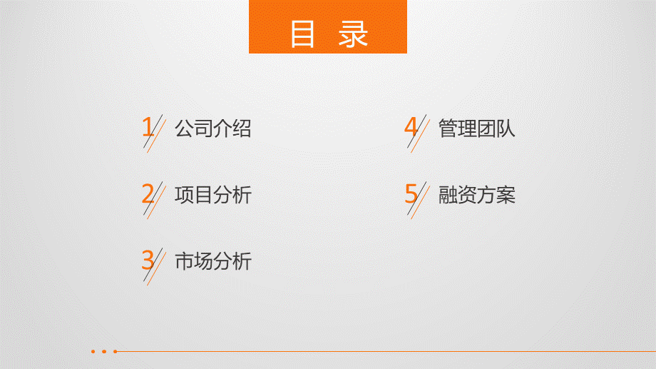 商业计划书.融资.路演.金融6.ppt_第2页