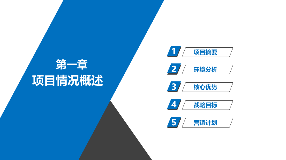 商业计划书.融资.路演.金融12.ppt_第3页