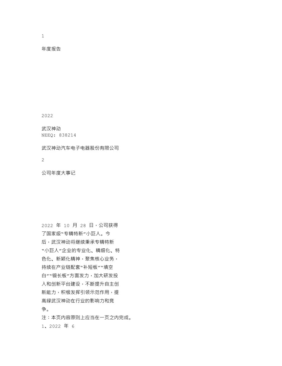 838214_2022_武汉神动_2022年年度报告_2023-04-25.txt_第1页