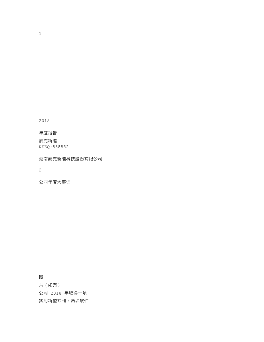 838852_2018_泰克新能_2018年年度报告_2019-04-22.txt_第1页